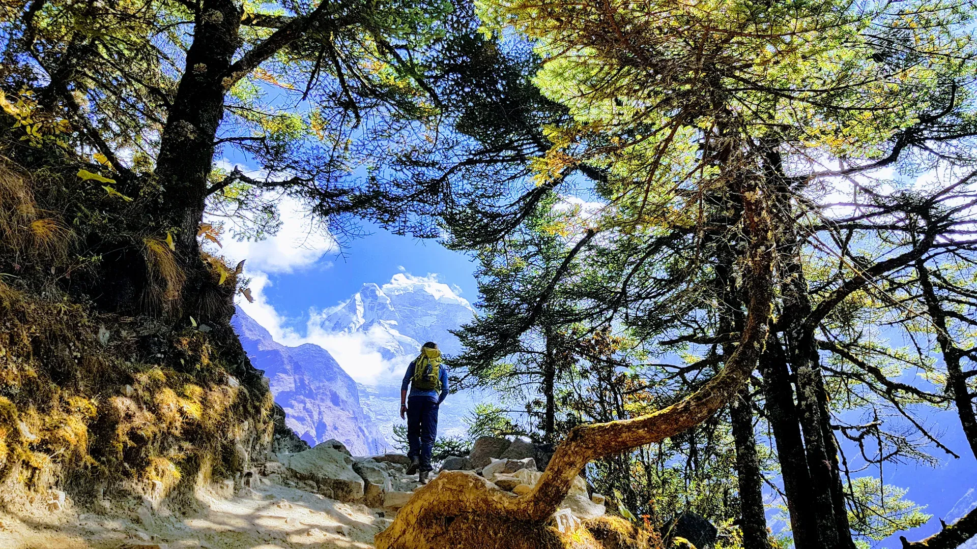 Everest Base Camp Trek — photo 5